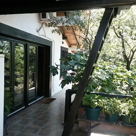 Apartman Luka *